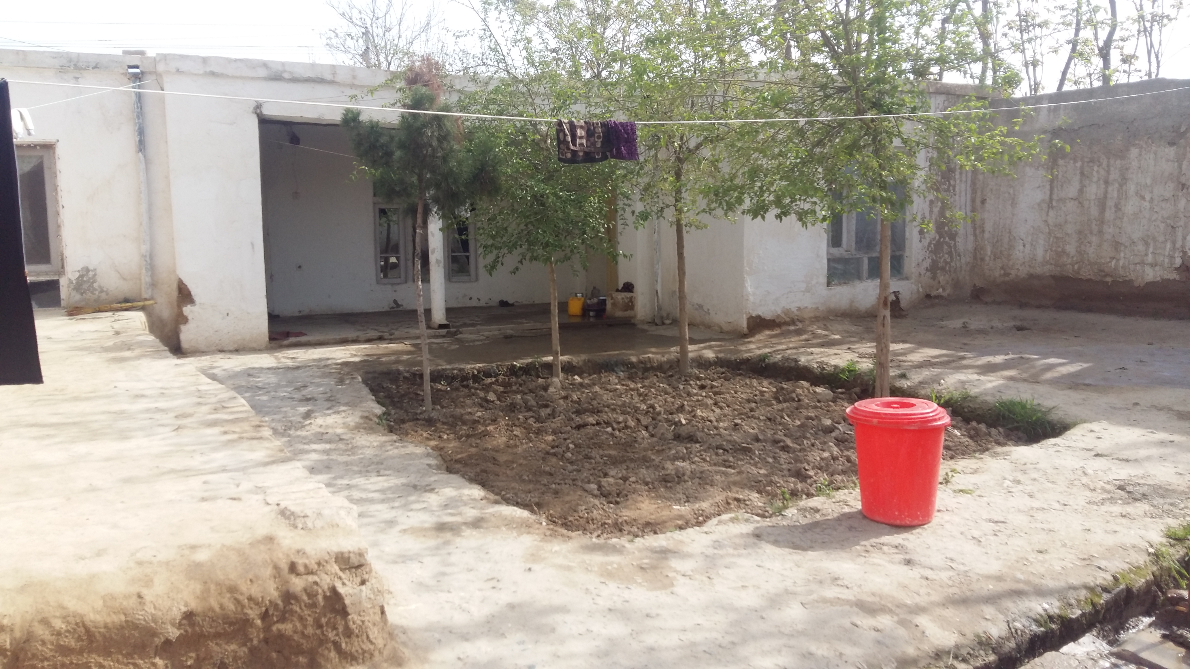تصویر نمایش داده نشد